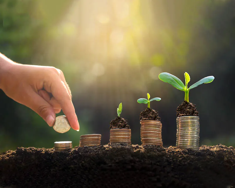 PUSAT JAGAAN MUHAMMAD IBRAAHIM